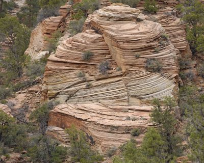Rock Formation-050110-Zion Natl Park, UT-#0206.jpg