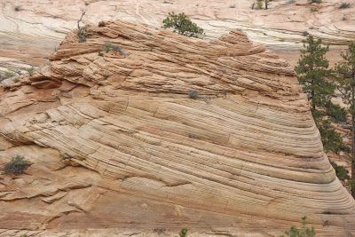 Rock Formation-050110-Zion Natl Park, UT-#0233.jpg