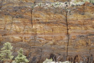 Rock Formation-050110-Zion Natl Park, UT-#0461.jpg