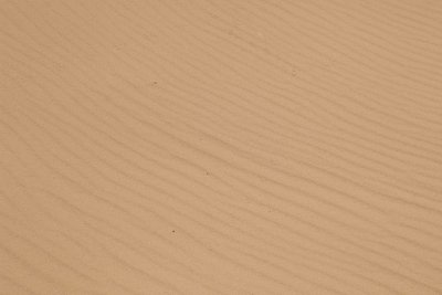 Sand, Sand Dune Arch-050510-Arches Natl Park, UT-#0389.jpg