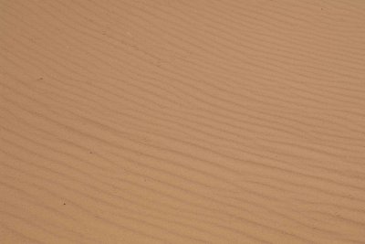 Sand, Sand Dune Arch-050510-Arches Natl Park, UT-#0390.jpg