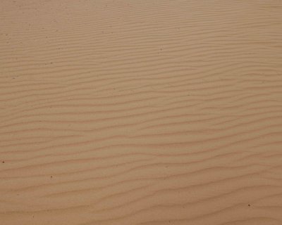 Sand, Sand Dune Arch-050510-Arches Natl Park, UT-#0406.jpg