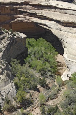 Kachina Bridge-050610-Natural Bridges Natl Monument, UT-#0259.jpg