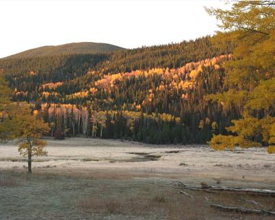 Aspens and Morning Frost-100303-Rocky Mtn Natl Park-Sheep Lakes-R1-8A.jpg