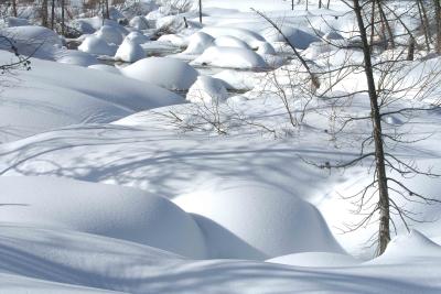 Snow Landscapes-011604-Big Springs, Caribou-Targhee National Forest ID-0260.jpg