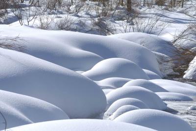 Snow Landscapes-011604-Big Springs, Caribou-Targhee National Forest ID-0265.jpg