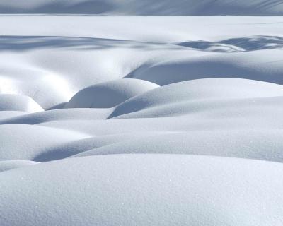 Snow Landscapes-011604-Big Springs, Caribou-Targhee National Forest ID-0268.jpg