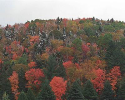 Autumn Colors, Morning Snowfall-100801-Route 3, Colebrook, NH-R4-17A.jpg