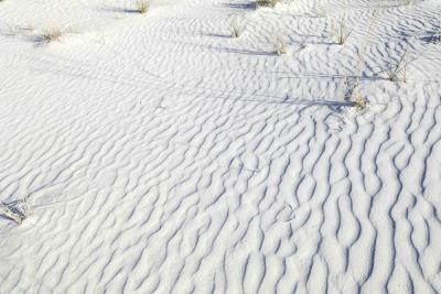 Dunes-111205-White Sands Natl Monument, NM-0018.jpg