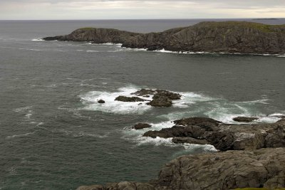 Cliffs, Quirpon Island-080106-Newfoundland, Canada-0171.jpg