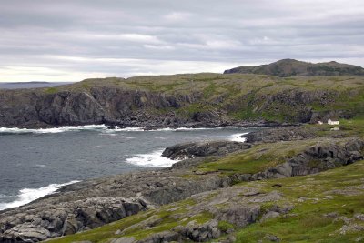 Landing Cove-080106-Quirpon Island, Newfoundland, Canada-0176.jpg