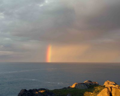 Rainbow-080106-Quirpon Island, Newfoundland, Canada-0188.jpg