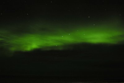 Aurora Borealis-110607-Churchill Wildlife Mgmt Area, Manitoba, Canada-#1567.jpg