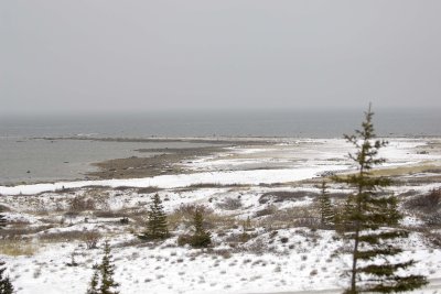 Gallery of Churchill, Manitoba, Canada Landscapes & Scenics