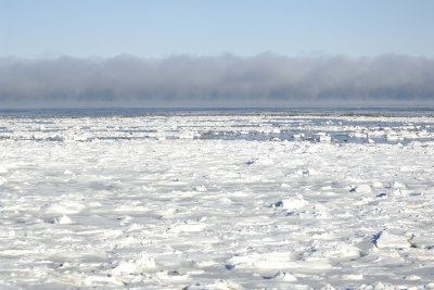 Sea Ice Forming-110607-Churchill Wildlife Mgmt Area, Manitoba, Canada-#0661.jpg