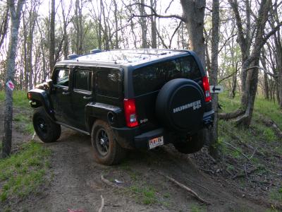 hummer_hanging