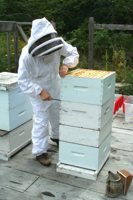 IMG_3522 ouvrir la ruche.jpg