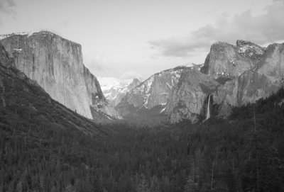 IMG_1206bw.jpg