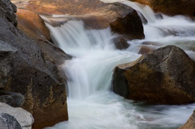 IMG_1494.jpg
