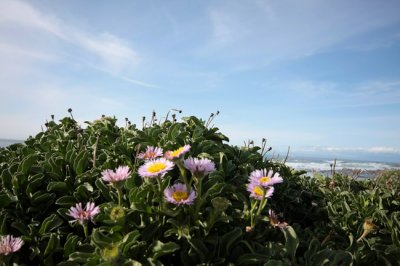 IMG_1725.jpg