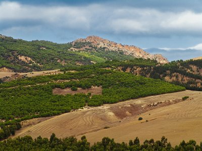 Tunisia - Nature