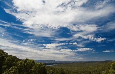Dandenongs