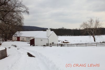 _MG_1125.JPG