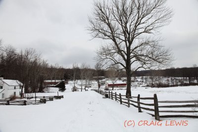 _MG_1161.JPG