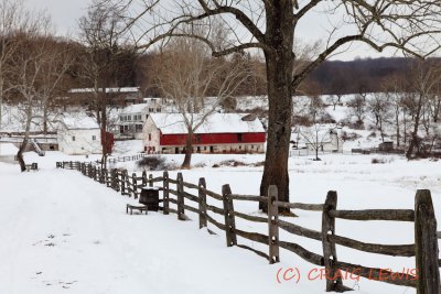 _MG_1162.JPG