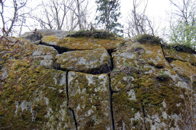 Klomsten