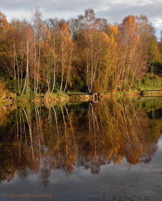 Sandyknowes_DSC_4996.jpg