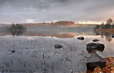 Loch of Clunie_DSC_4979.jpg