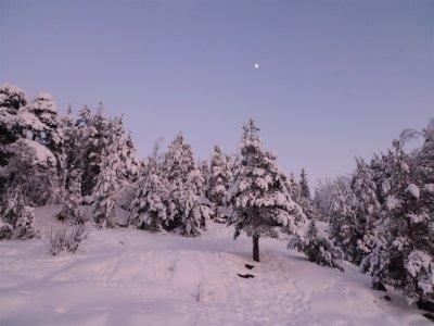 20100125