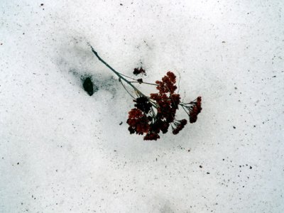 20100408