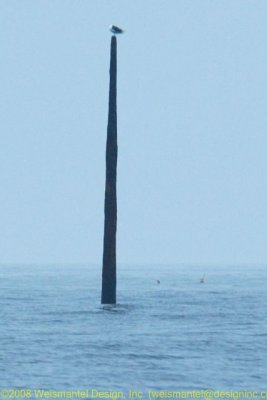 Pole Marking Londoner - 2' Rock