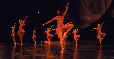 DSC_0358.jpg. nbt 28