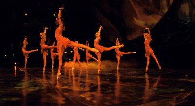 DSC_0334.jpg .nbt 19