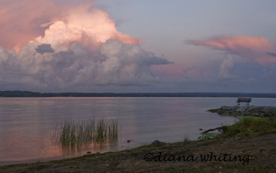 Cayuga Lake 2