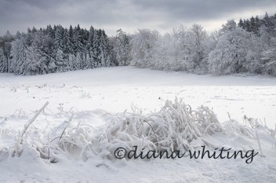Winter Landscape 10