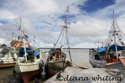 g3/40/737740/3/124496797.BexR4hRW.jpg