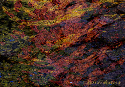  Fall Water Reflections 2