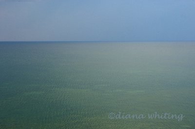 Blue Into Green, Lake Ontario Bluffs