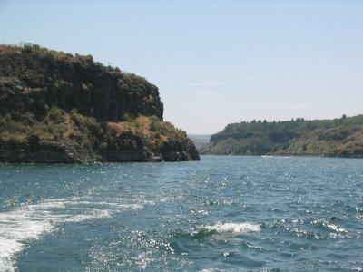 Fish 021.JPG