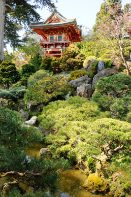 Japanese Tea Gardens  