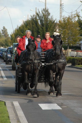 080906 Attel Berck_125.JPG