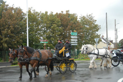 080907 Attel Berck_026.JPG