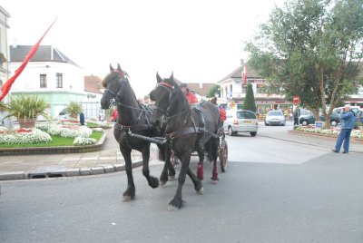 080908 Attel Berck_012.JPG