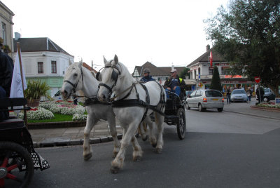 080908 Attel Berck_018.JPG