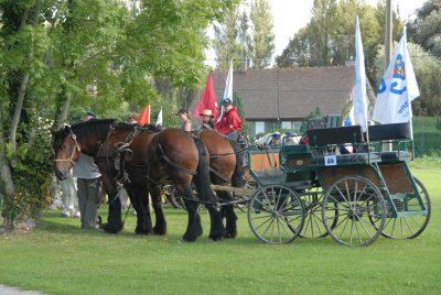 080908 Attel Merlim_062.JPG