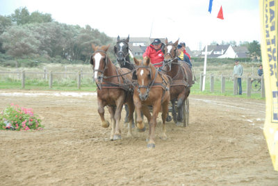 080907 Hippo Berck_278.JPG